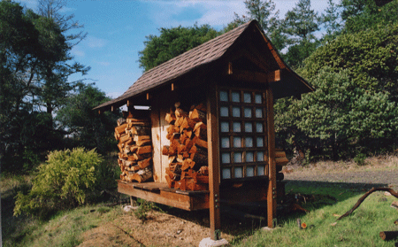 DIY Firewood Shed Plans